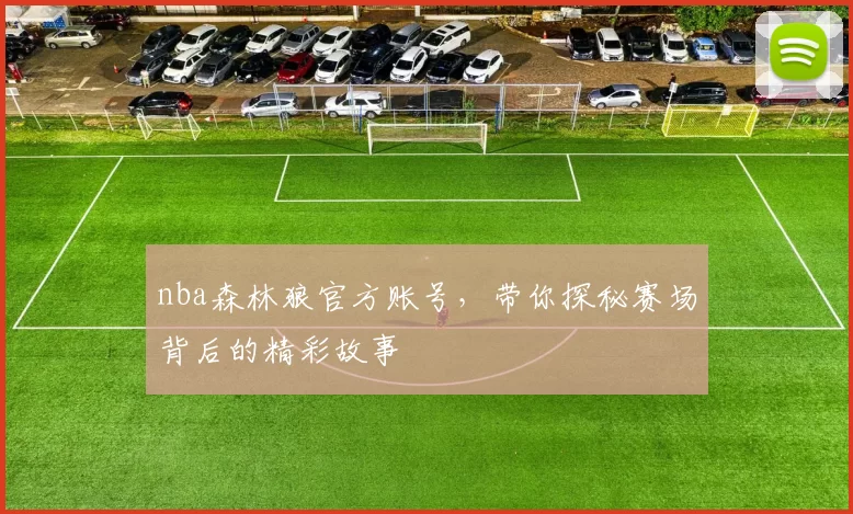nba森林狼官方账号，带你探秘赛场背后的精彩故事