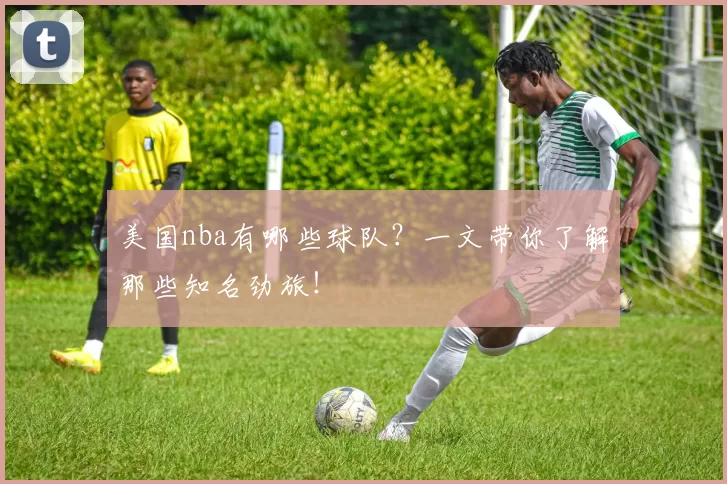 美国nba有哪些球队？一文带你了解那些知名劲旅！