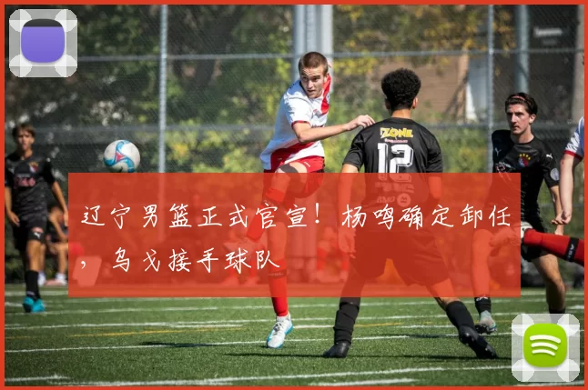 辽宁男篮正式官宣!杨鸣确定卸任,乌戈接手球队